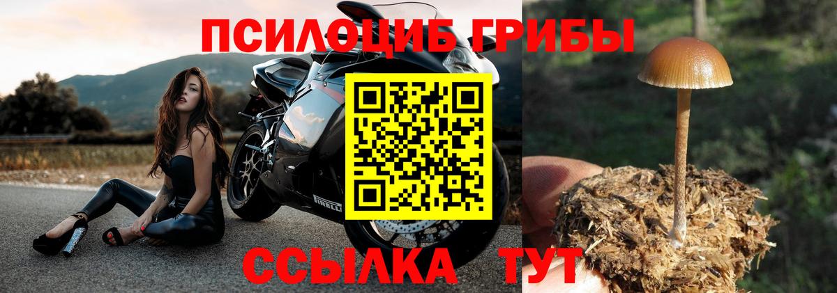 Галлюциногенные грибы прущие грибы  Вход с VPN  Нягань 
