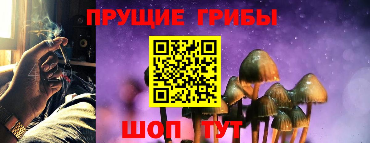 Галлюциногенные грибы Psilocybine cubensis Нягань